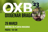 ‘Oxigenar Braga’ regressa entre os dias 20 e 26 de Março - imagem #2
