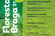 “Florestar Braga” é aposta na sensibilização ambiental - imagem #1