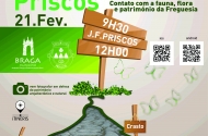 Aventuras pelo Ambiente - Priscos - imagem #1