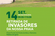 Braga assinala Dia da Ecologia com ação no Rio Cávado