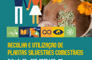 Braga assinala Semana do Clima - imagem #7