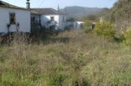 House of Naia  - image #3