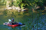 Praia Fluvial do Cavadinho - imagem #7