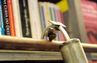 A livraria com vida, na Casa Rolão - imagem #10