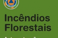 Incêndio Florestal