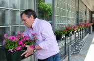 Município distribuiu 1.600 floreiras em três anos - imagem #1