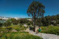 Parque das Camélias - imagem #1