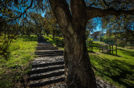 Parque das Camélias