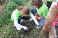 “Florestar Braga” é aposta na sensibilização ambiental
