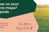 Sistema de Informação Cadastral Simplificado do Cávado (SICS Cávado)