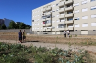Município de Braga reforça aposta na criação de hortas urbanas

 - imagem #12