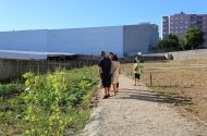 Município de Braga reforça aposta na criação de hortas urbanas

 - imagem #10