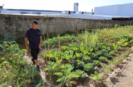 Município de Braga reforça aposta na criação de hortas urbanas

 - imagem #8