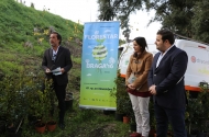 ‘Florestar Braga’ viabiliza plantação de mais de 3 mil árvores no Concelho - imagem #4