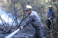 Combate a Incêndios - imagem #11