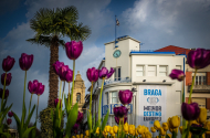 Braga participa na maior feira de turismo do mundo