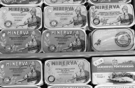 Mercado de S. João: exemplo de resistência e inovação - imagem #13