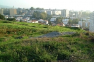 Castro Máximo, ou Monte de Castro - imagem #2