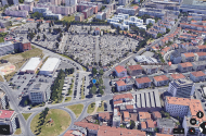 Município de Braga intervém em árvores em risco