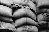 A tradição do café na ‘Negrita’ - imagem #13