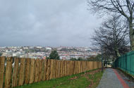 Parque das Camélias - imagem #7