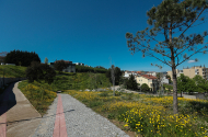 Parque das Camélias - imagem #8