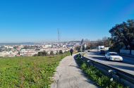 Parque das Camélias - imagem #6