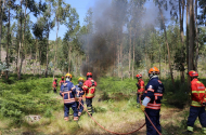 Braga tem Plano Municipal de Defesa da Floresta Contra Incêndios actualizado até Janeiro de 2021