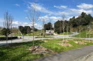 Município de Braga procedeu à plantação de 614 árvores em 2024