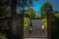 Parque das Camélias - imagem #5