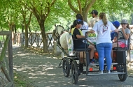 Quinta Pedagógica aumenta número de visitantes