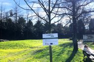 Braga investe cerca de 95 mil euros na (re)arborização de espaços verdes e criação de ilhas-sombra 