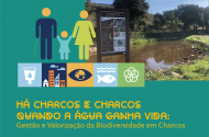 Semana do Clima 2026 promove participação em iniciativas ambientais - imagem #1