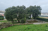 Parque das Camélias - imagem #4