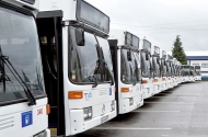 Município garante transporte escolar gratuito a alunos do 3.º Ciclo do Ensino Básico