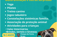 Dia Internacional dos Animais Sem-Abrigo assinalado no Parque da Ponte