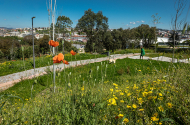 Parque das Camélias - imagem #14
