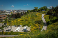 Parque das Camélias - imagem #2