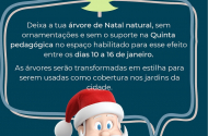 Deixe a sua Árvore de Natal natural na Quinta Pedagógica