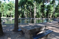 Bom Jesus do Monte - image #44