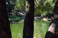 Bom Jesus do Monte - image #34