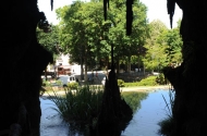 Bom Jesus do Monte - image #41