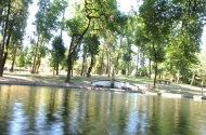 Bom Jesus do Monte - image #8