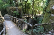 Bom Jesus do Monte - image #6