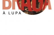 ‘Braga à Lupa’ desafia Bracarenses a descobrir curiosidades do património da Cidade - imagem #1