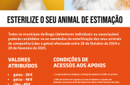 Município investe 20 mil euros em Campanha de Apoio à esterilização de animais de companhia