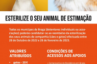 Braga lança campanha extraordinária de apoio à esterilização de animais de companhia - imagem #1
