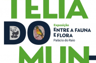 Palácio do Raio recebe exposição “Filatelia do Mundo. Entre a Fauna e Flora” 
