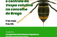 Webinar: 'Deteção e controlo da Vespa Velutina'