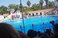 Colónia de Férias “ Sol e Mar” - imagem #3